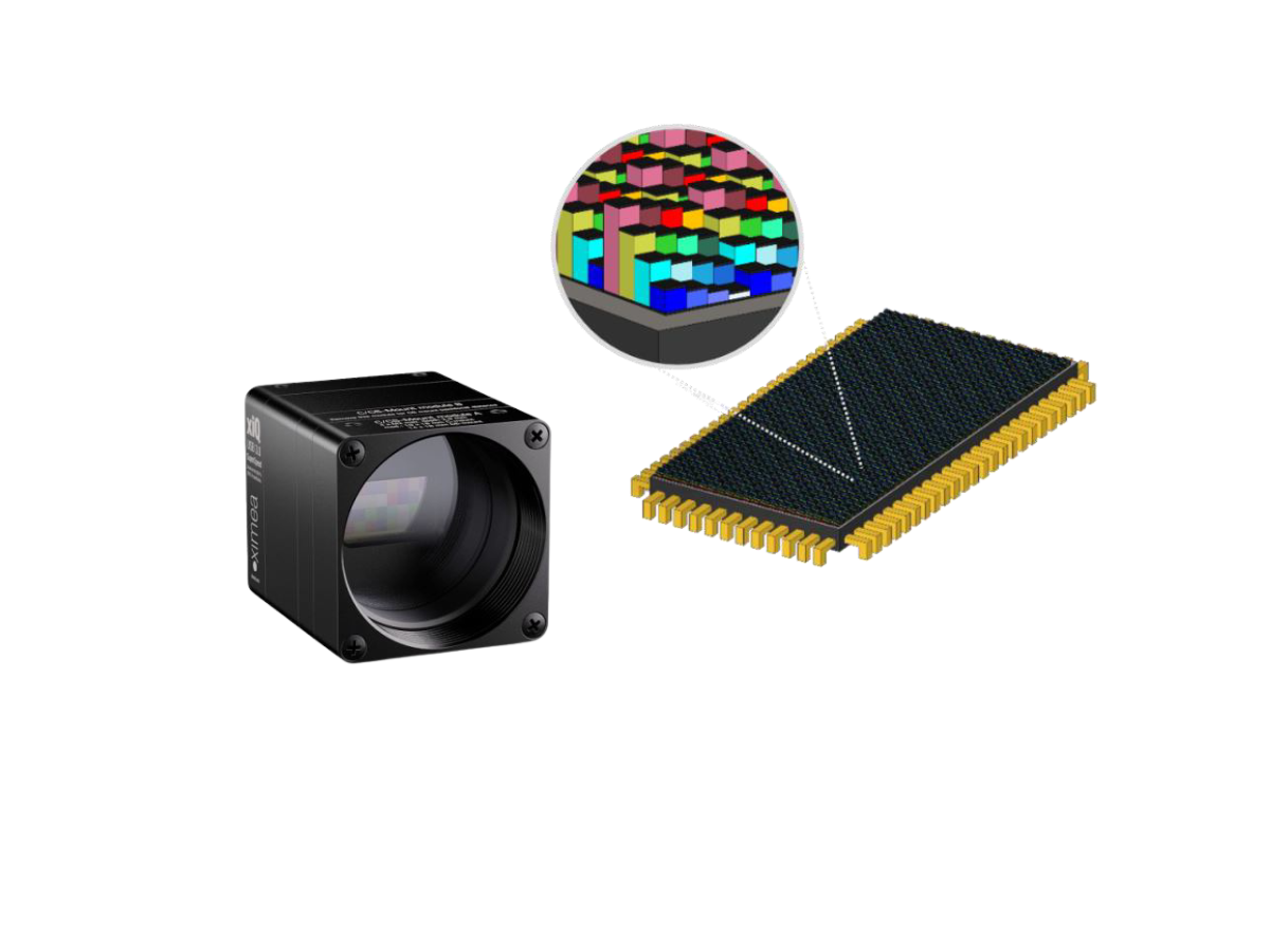 Ximea xispec camera with graphic of mosaic filter on the pixels of the sensor