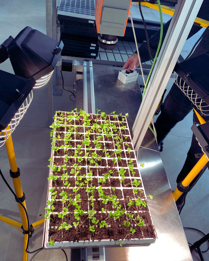 Tray of seedlings being imaged with Specim FX camera